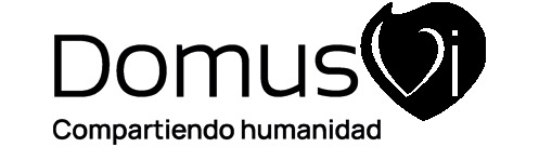Domus Vi